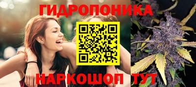 наркотики Ачхой-Мартан