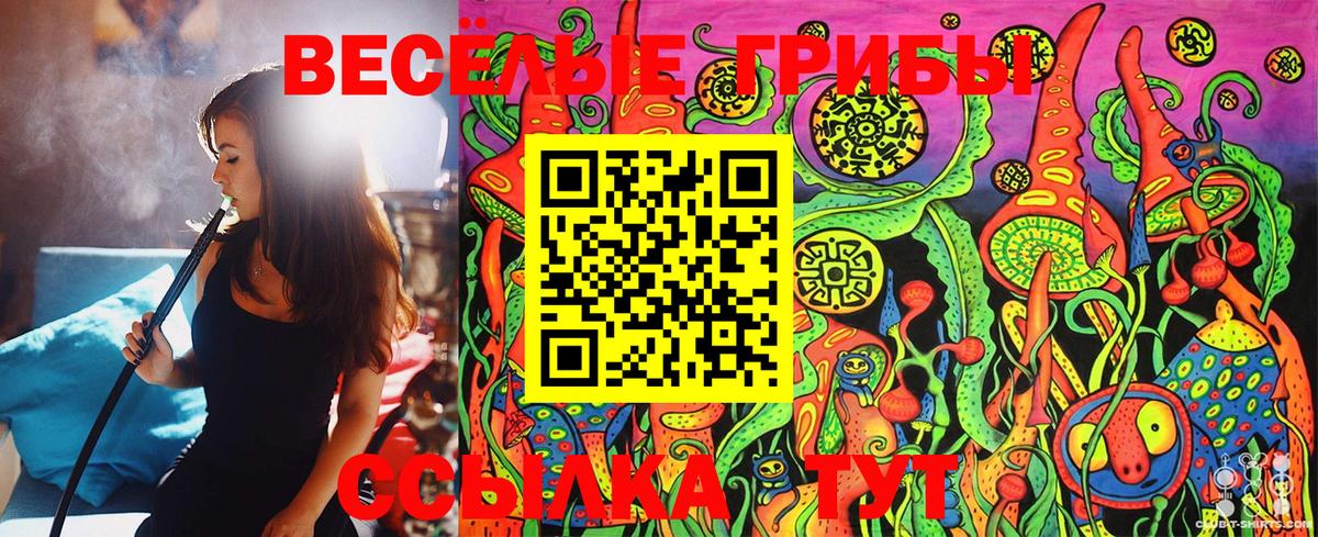 Псилоцибиновые грибы GOLDEN TEACHER Белорецк