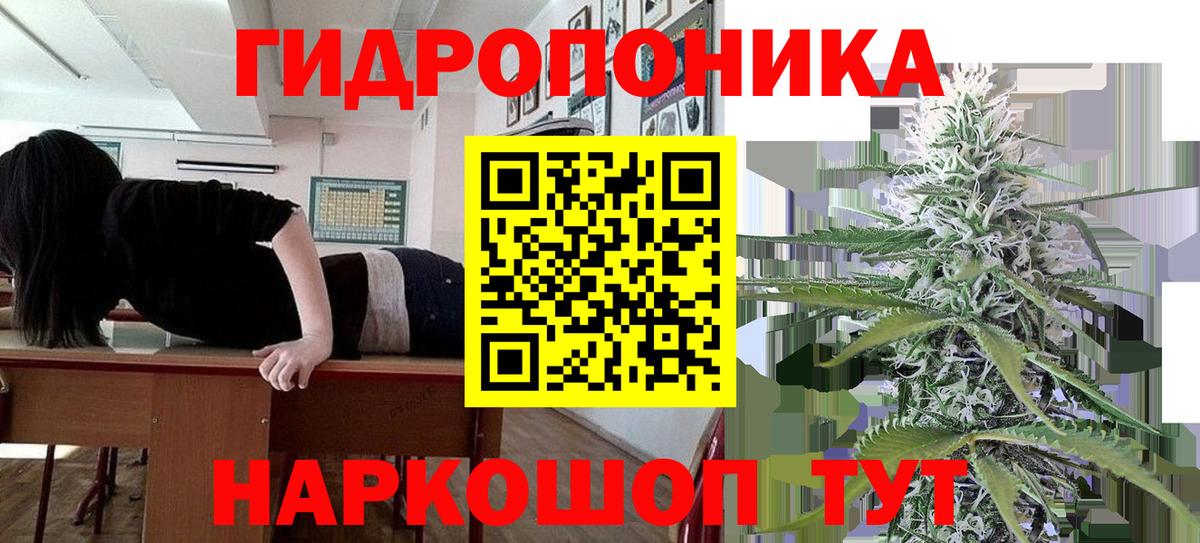 Бошки марихуана сатива  Вход с VPN  Каннабис семена  Белорецк  Конопля план 